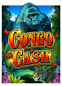 t score บอลสมัคร joker เพิ่มโอกาสชนะในสล็อต